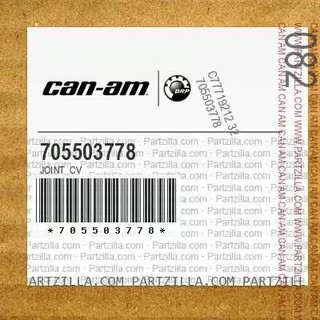 Joint Cv - 705503778