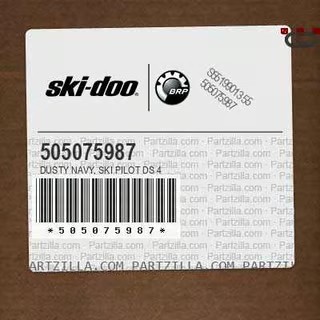 Ski Pilot Ds 4 B-441