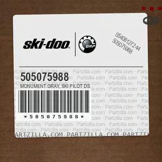 Ski Pilot Ds 4 B-469