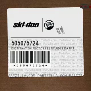 Ski Pilot Ds 3-E B-441